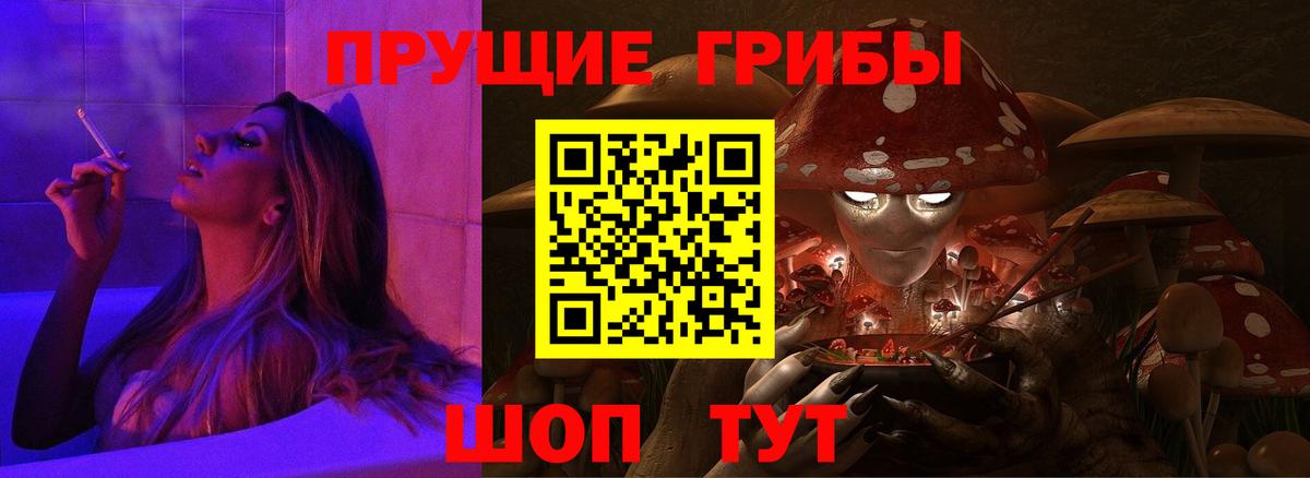 Сальск  Псилоцибиновые грибы Cubensis  Псилоцибиновые грибы GOLDEN TEACHER  Вход с VPN 